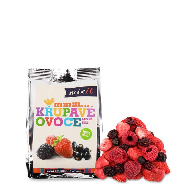 Mixit Chrumkavý Lesný Mix 20g v sáčku