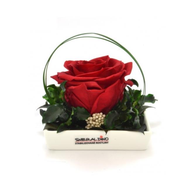 Dekoračná ikebana Dita (D)